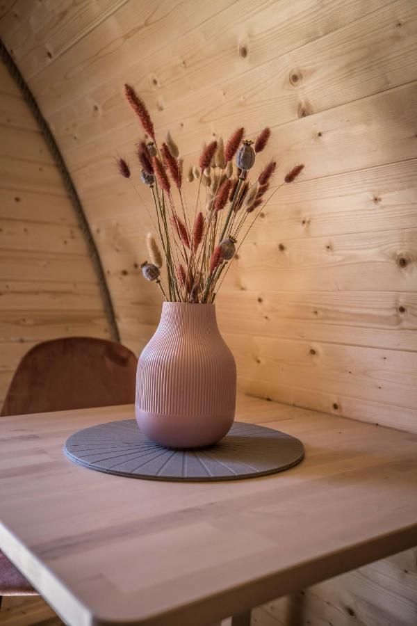 Luxe Woodlodge In Een Prachtige En Bosrijke Omgeving Bornerbroek Exterior photo
